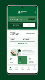 Palmeiras Pay 2