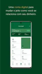 Palmeiras Pay 3