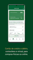 Palmeiras Pay 4