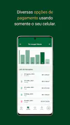 Palmeiras Pay 5
