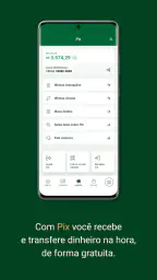 Palmeiras Pay 6