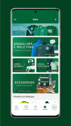 Palmeiras Pay 8