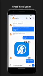 Parrot Chat Messenger 4