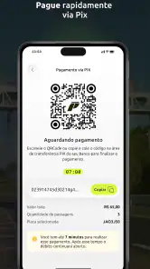 Pedágio Digital screenshot
