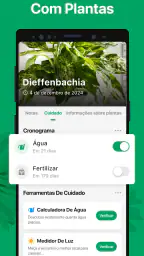 PictureThis Identificar Planta 3