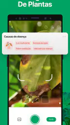 PictureThis Identificar Planta 4