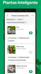 PictureThis Identificar Planta 8