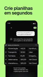 Pierre: Controle de gastos IA 3