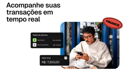 Pierre: Controle de gastos IA 7