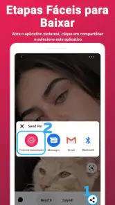 Pinterest Video Downloader screenshot