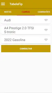 PlacaFip - Consulta placa screenshot