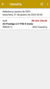 PlacaFip - Consulta placa screenshot