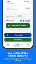 PlacaInfo: Consulta Placa 2