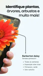 Plant App - Localizador Planta 2