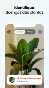 Plant App - Localizador Planta screenshot