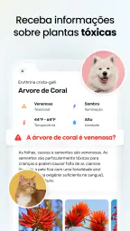 Plant App - Localizador Planta 5