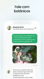 Plant App - Localizador Planta 6