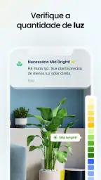 Plant App - Localizador Planta 7