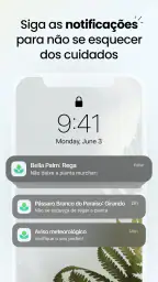 Plant App - Localizador Planta 8