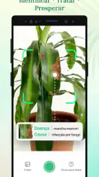 Plant Parent-Guia de Cuidados 1