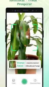 Plant Parent-Guia de Cuidados screenshot