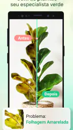 Plant Parent-Guia de Cuidados 2