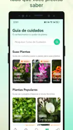 Plant Parent-Guia de Cuidados 6