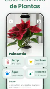 Plantify: Identificador Planta screenshot
