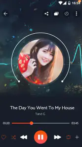 Player de música - versão paga screenshot