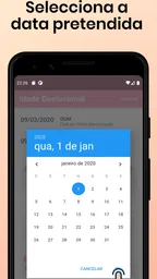 Idade Gestacional 4