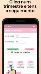 Idade Gestacional 6