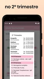 Idade Gestacional 8