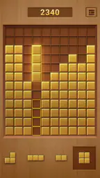 Puzzle de Blocos de Madeira 2