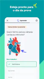 Quizlet: Estude com Flashcards 2