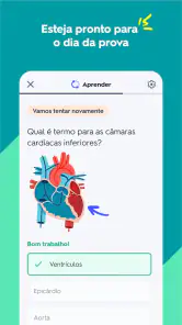 Quizlet: Estude com Flashcards screenshot