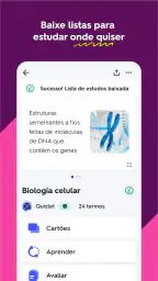 Quizlet: Estude com Flashcards 3