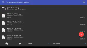 RecForge II Pro: Gravador screenshot