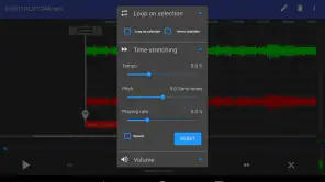 RecForge II Pro: Gravador screenshot