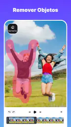 Removedor de objetos de vídeo 1