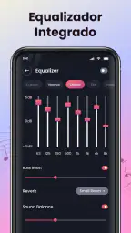 Reproduzir música offline 6