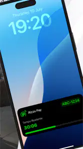 Rizzo Pay screenshot