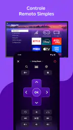 Roku 1