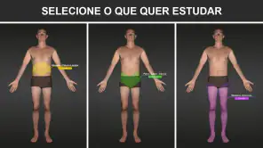 RX - Radiologia Posicionamento screenshot