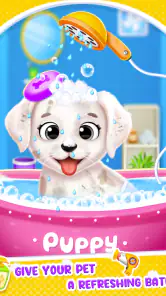 Salão Creche Labrador Cão screenshot