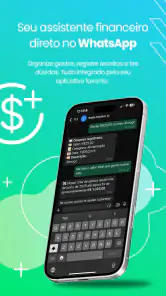 Saldo Positivo - Despesas screenshot