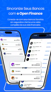 Saldo Positivo - Despesas screenshot