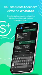 Saldo Positivo - Despesas screenshot
