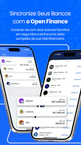 Saldo Positivo - Despesas screenshot