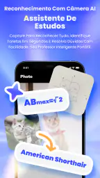 Seekee - Buscador de IA 3