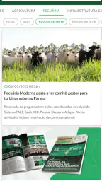 Sistema FAEP (Paraná) 8